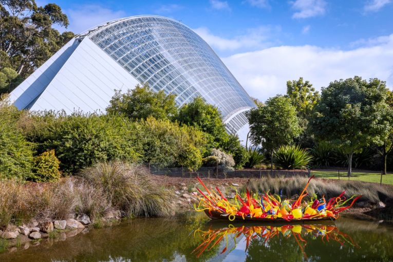 Thumbnail for Chihuly sheds colourful new light on Botanic Garden