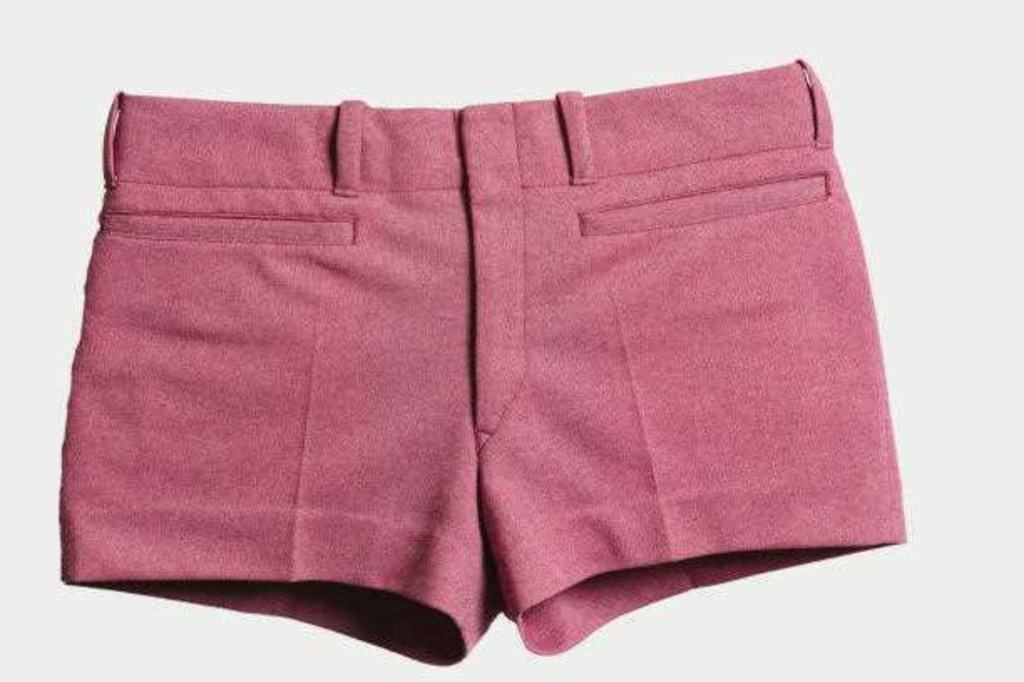 Thumbnail for Premier’s very short pink shorts star at gallery show