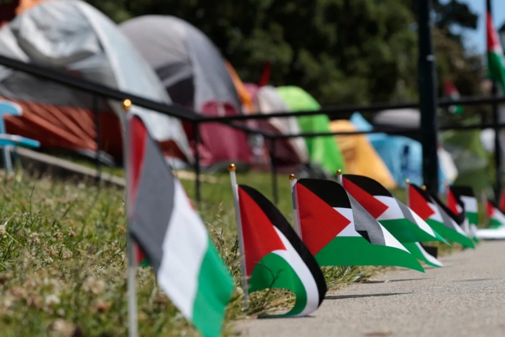 Thumbnail for Pro-Palestine protest to set up at University of Adelaide
