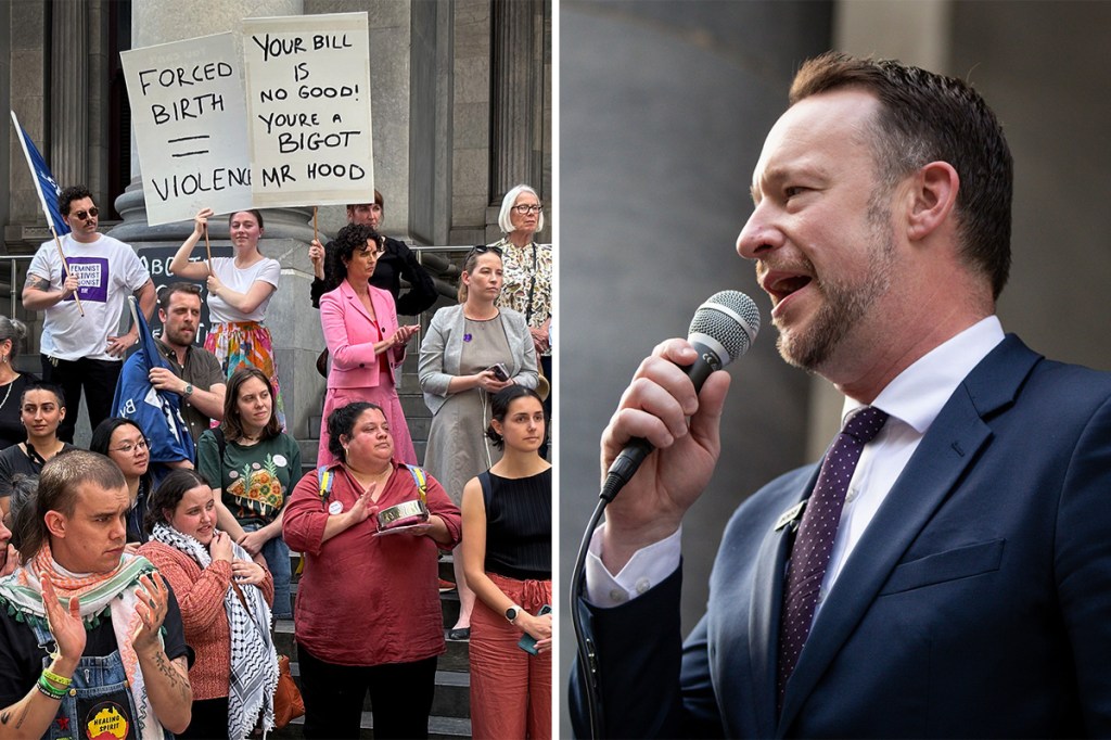 Thumbnail for Abortion vote falls short after night of parliamentary chaos