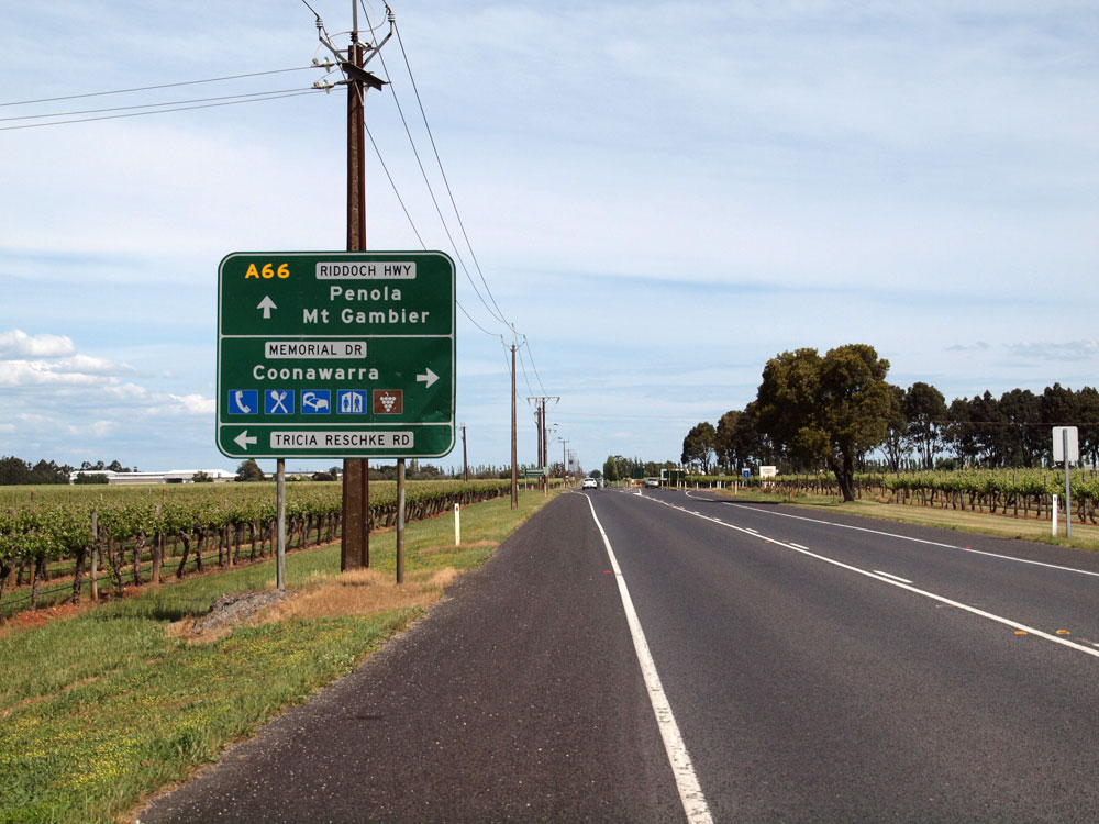 Thumbnail for Child dies in highway pile-up after car hits emu