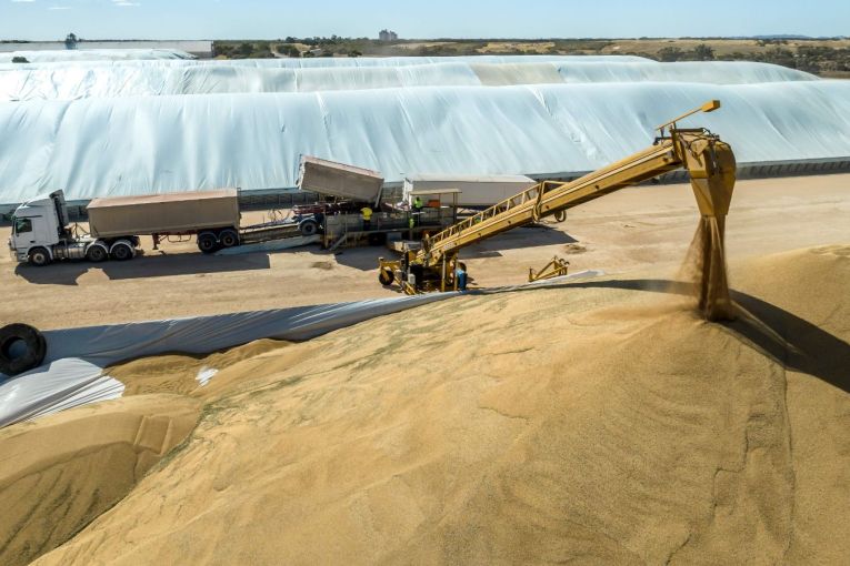 Thumbnail for Grain industry backlash over Viterra buyout plan