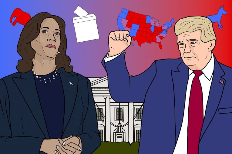 Thumbnail for An illustrated guide to the US election