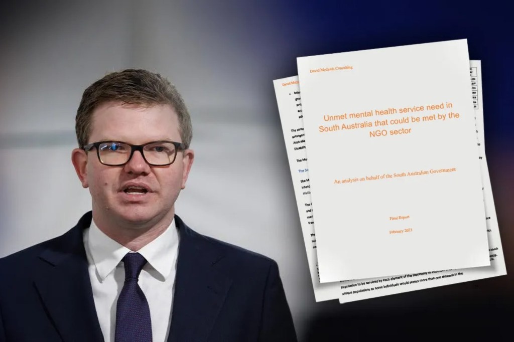 Thumbnail for SA’s $125m mental health gap leaves 19,000 with unmet needs