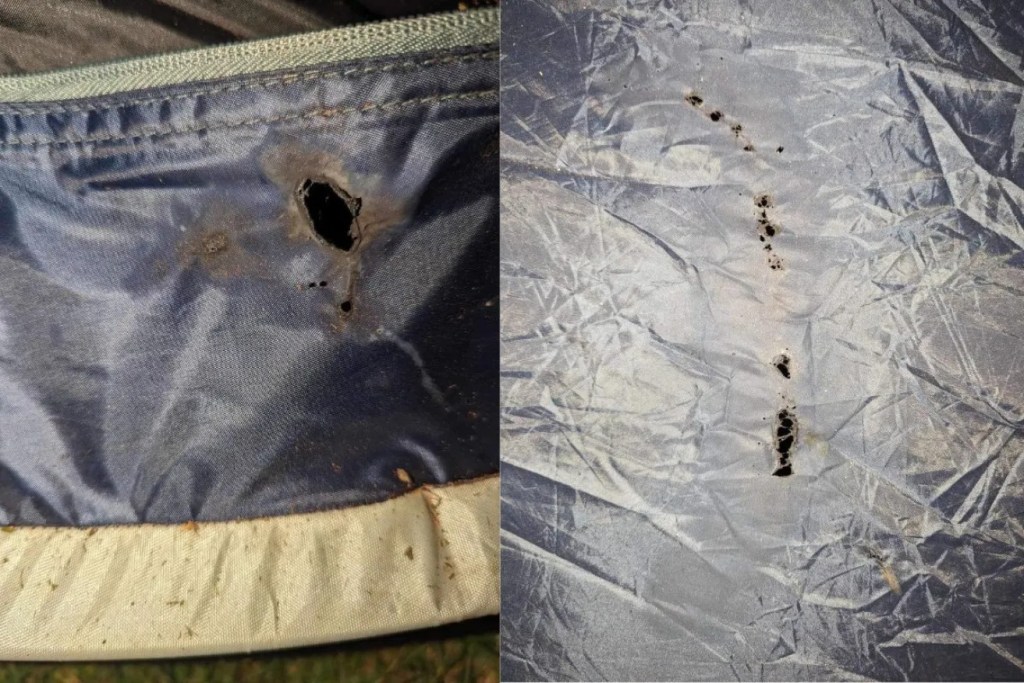 Thumbnail for Pro-Palestine students say fireworks thrown at uni encampment