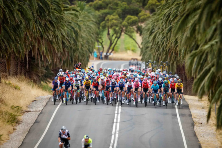 Thumbnail for Roadmap revealed for Tour Down Under’s 25th year