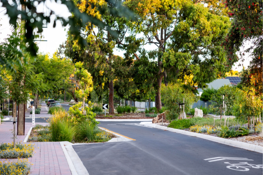 Thumbnail for ‘Unapologetically wild’ Adelaide street upgrade wins national award