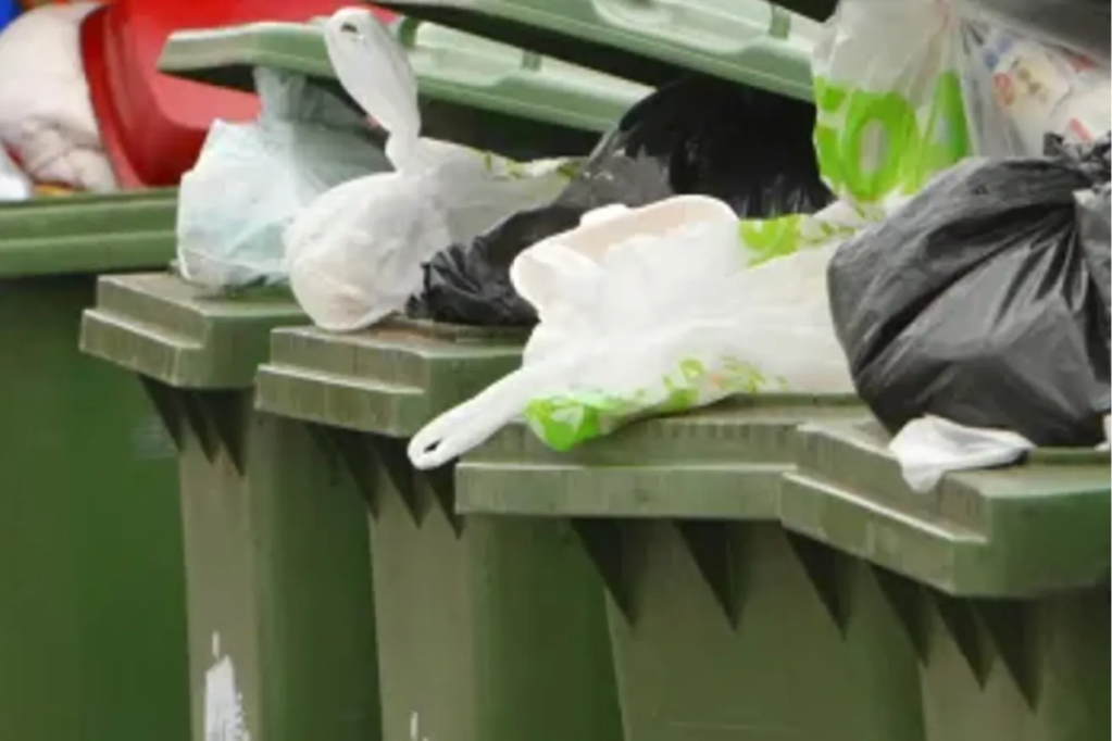 Thumbnail for Govt moves to dump higher household bin charge