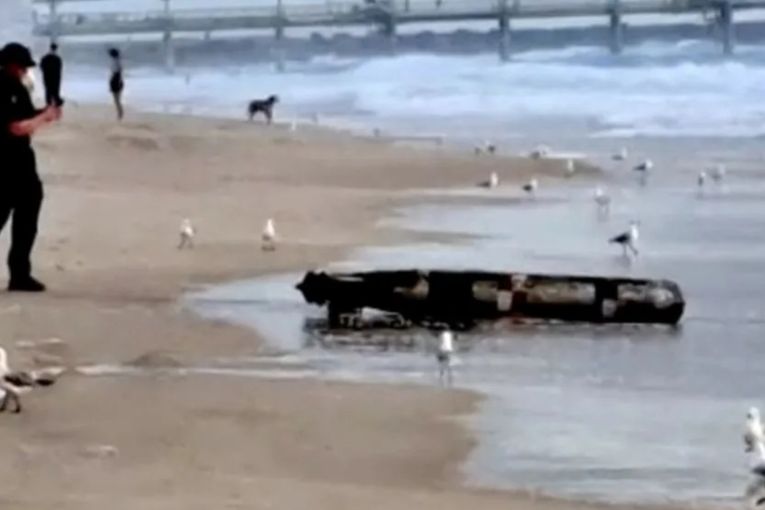 Thumbnail for Practice torpedo washes up on popular beach