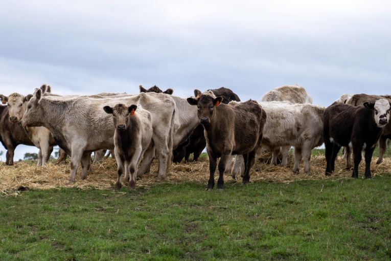 Thumbnail for Record forecast for Australia’s world-class agriculture