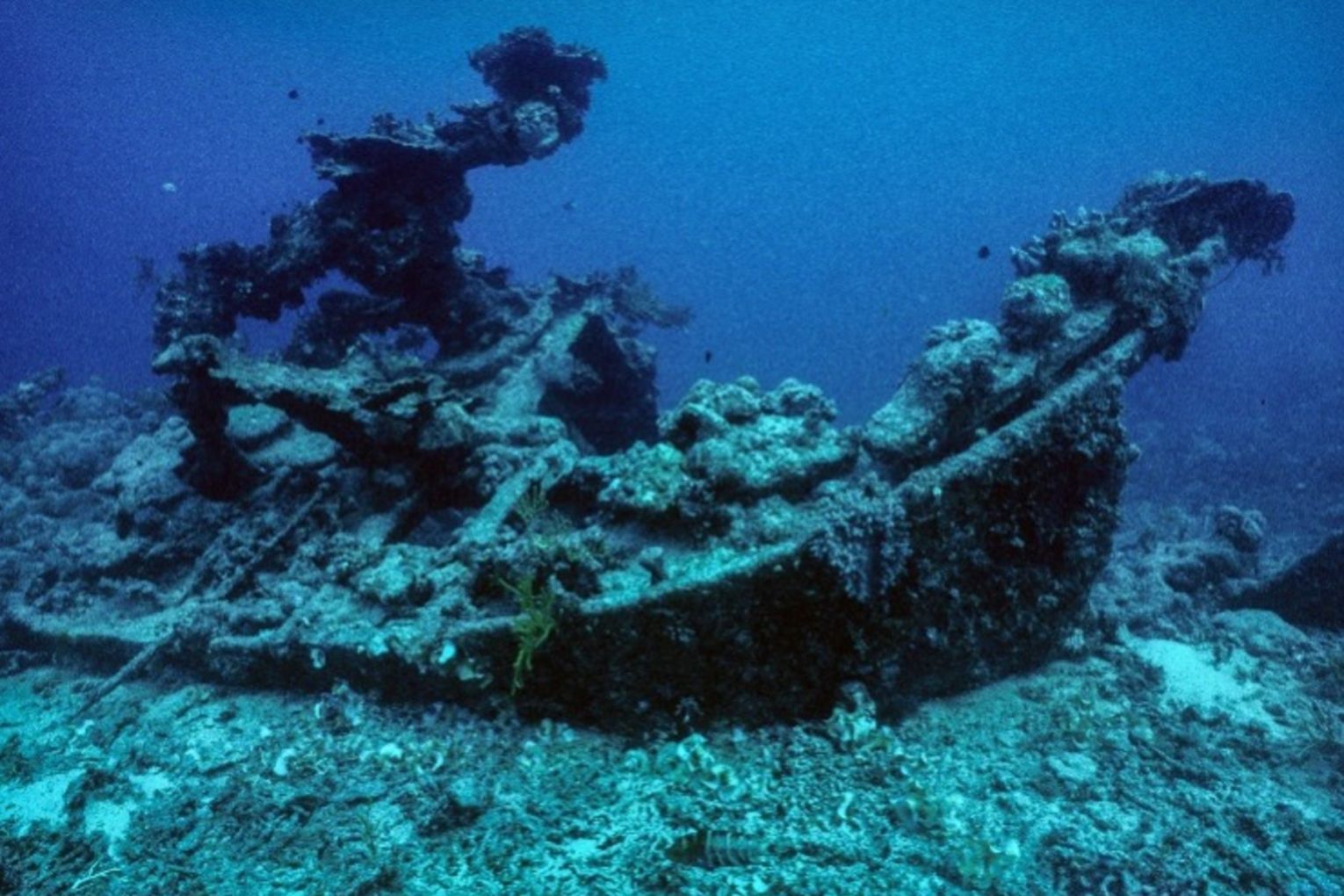 The SS Gothenburg is etched into Australia’s maritime history. Image: supplied.