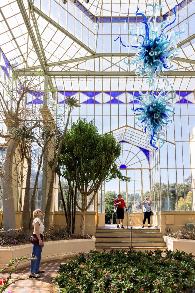 Inside Palm House at Adelaide Botanic Garden - a woman admires Dale Chihuly's Glacier Ice and Lapis Chandelier