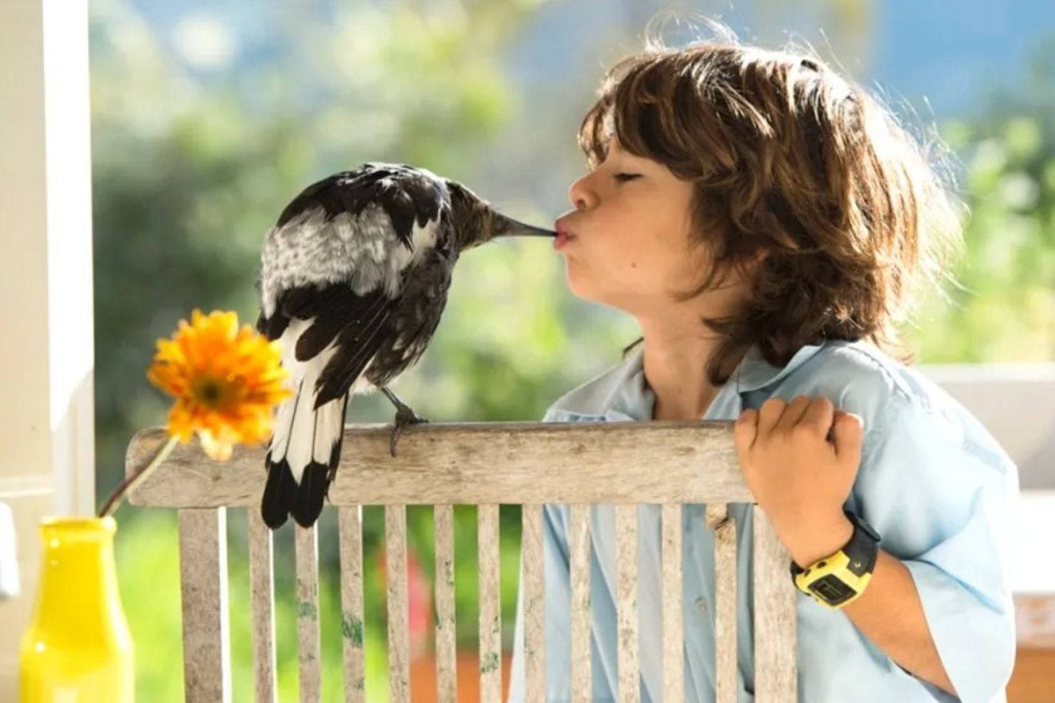 A magpie proved to be a saviour for the Bloom family, who plan to join the next national bird count.