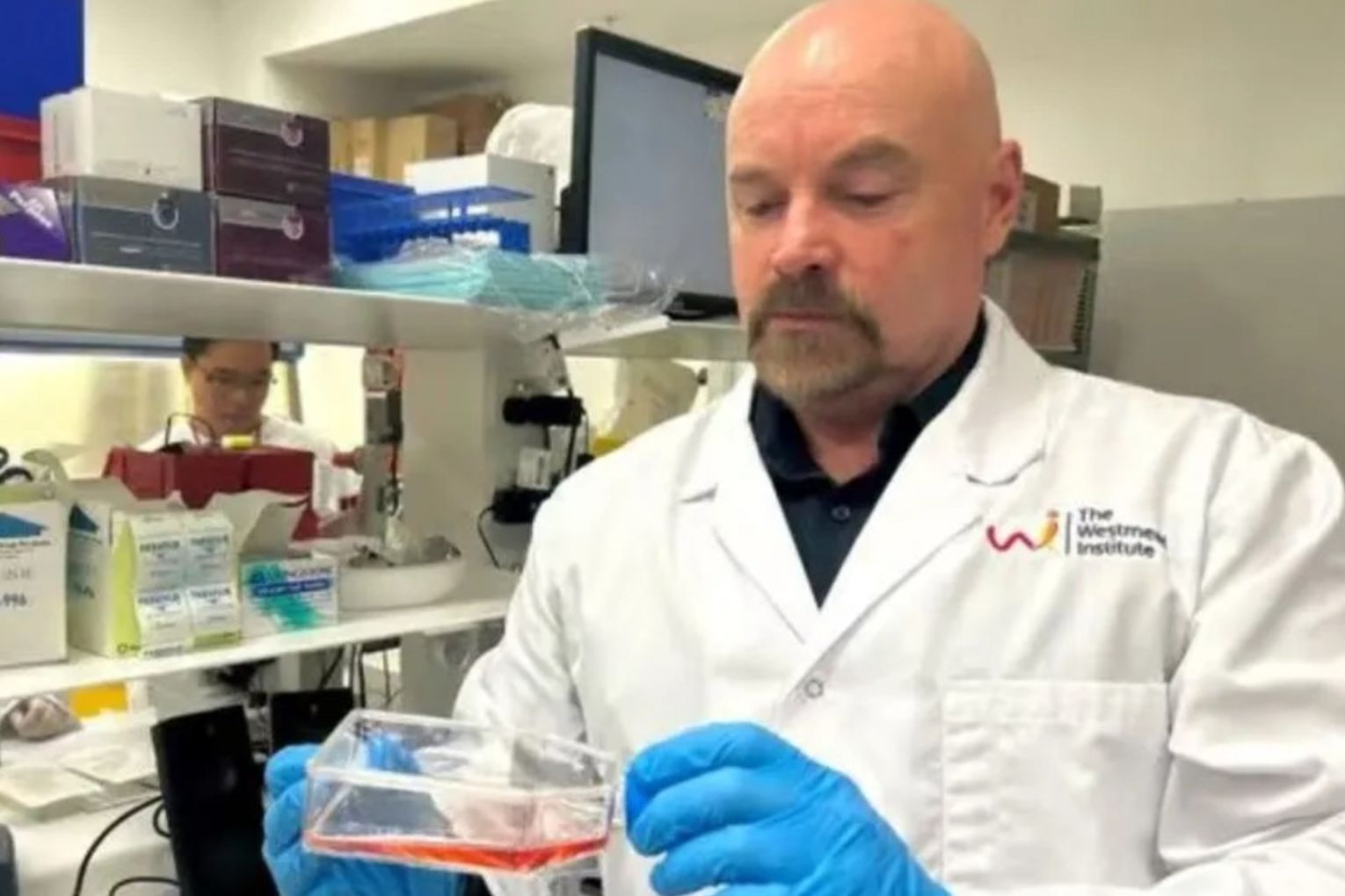 Professor Wayne Hawthorne with transgenic pig islets in culture.
