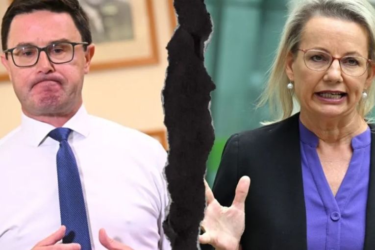 Thumbnail for Coalition's predictable split is a poser for Labor