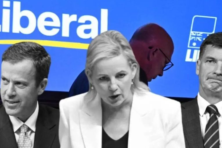 Thumbnail for The Liberal Party horrific result is of its own making, and the road back won’t be pretty