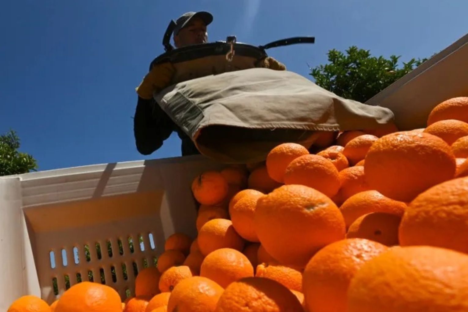 Migrant workers are too scared to speak out about poor conditions for fear of being deported.