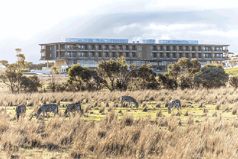 Thumbnail for Photo gallery: Monarto Safari Resort official opening