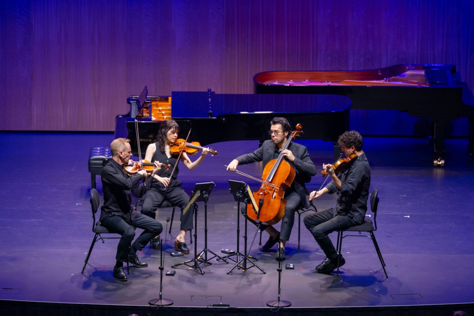The Australian String Quartet perform in the opening night concert of the 2025 Australian Festival of Chamber Music in Townsville. Photo: Rob Parsons