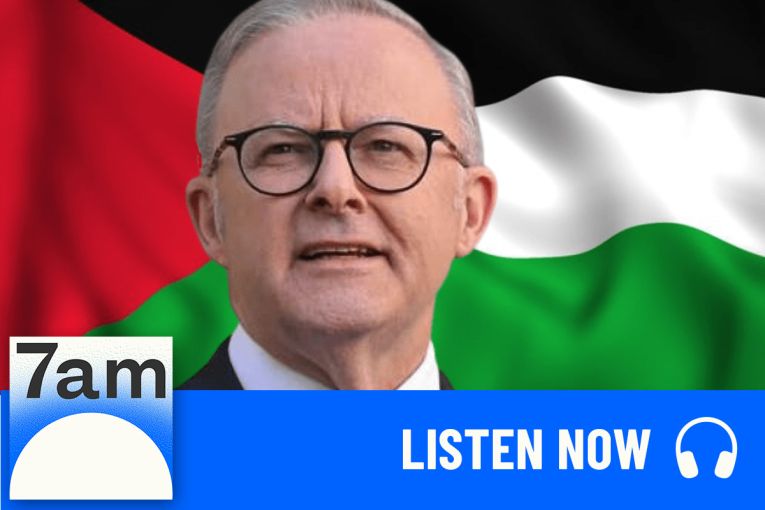 Thumbnail for Albanese's long held hopes for Palestinian statehood